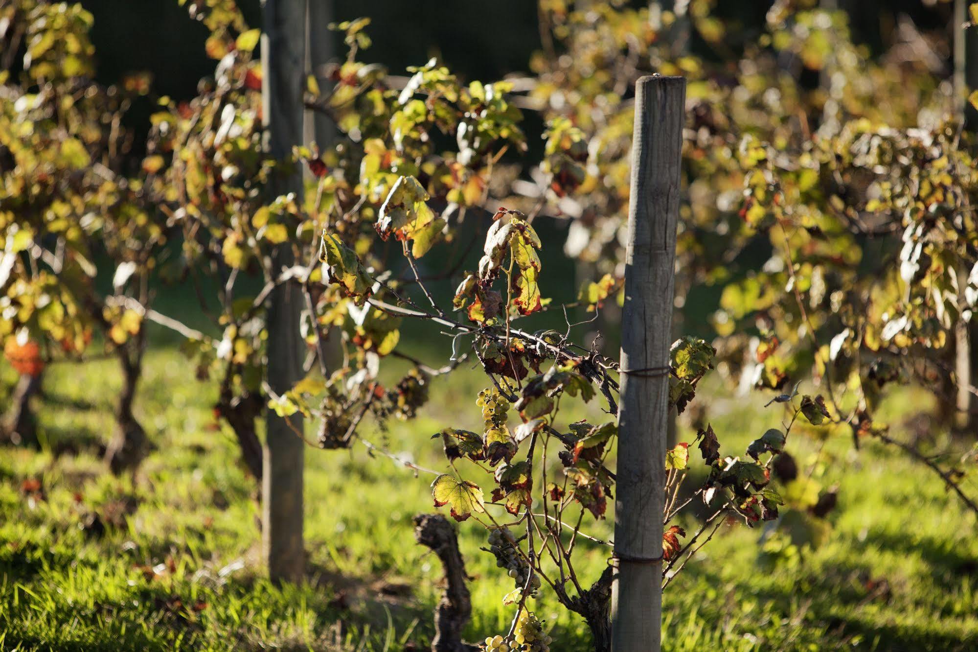 Ibis Budget Pouilly-En-Auxois Esterno foto