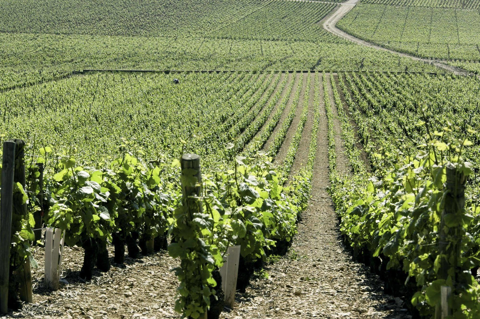 Ibis Budget Pouilly-En-Auxois Esterno foto